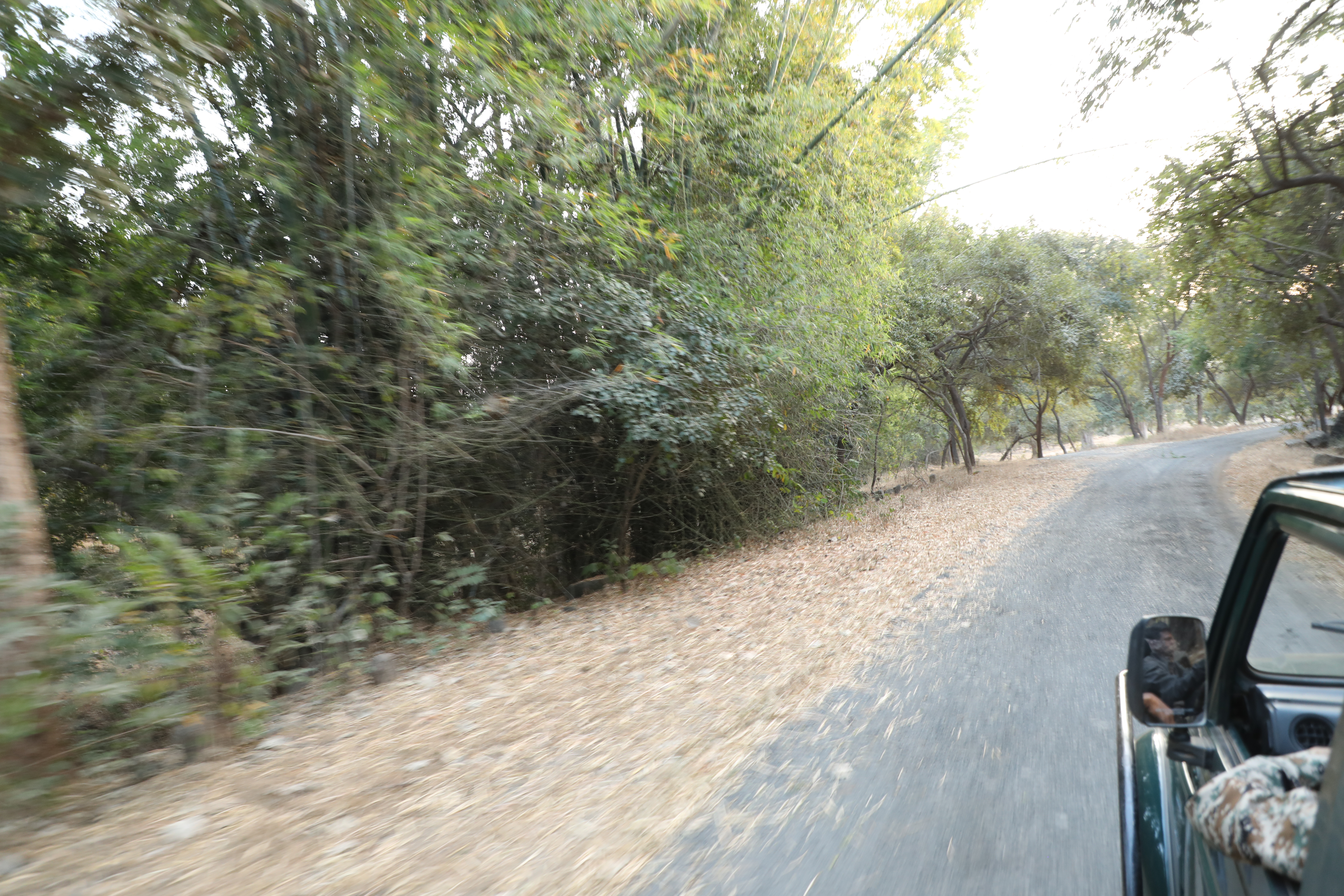 Pench National Park Outing 6