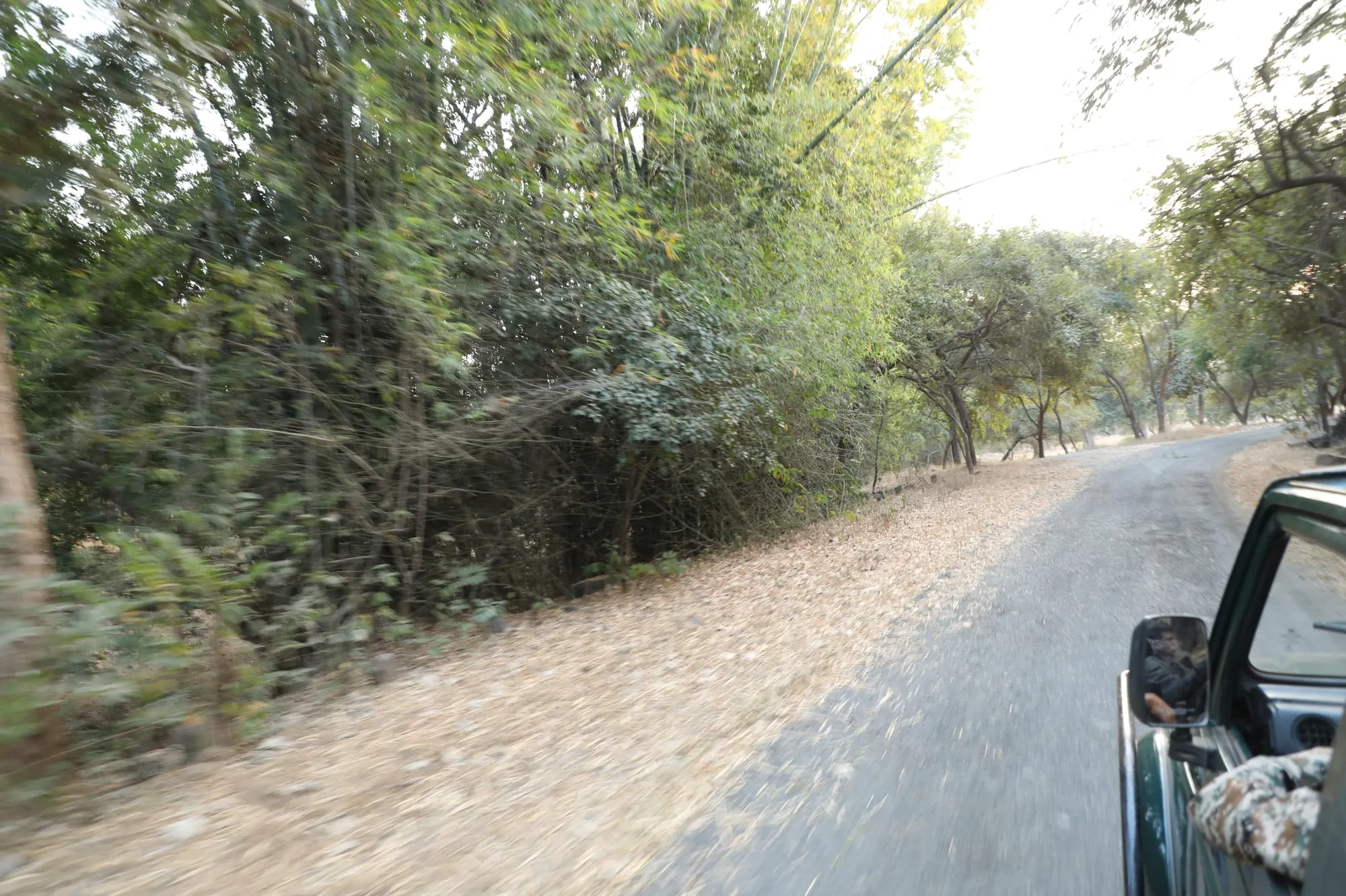 Pench National Park Outing 6