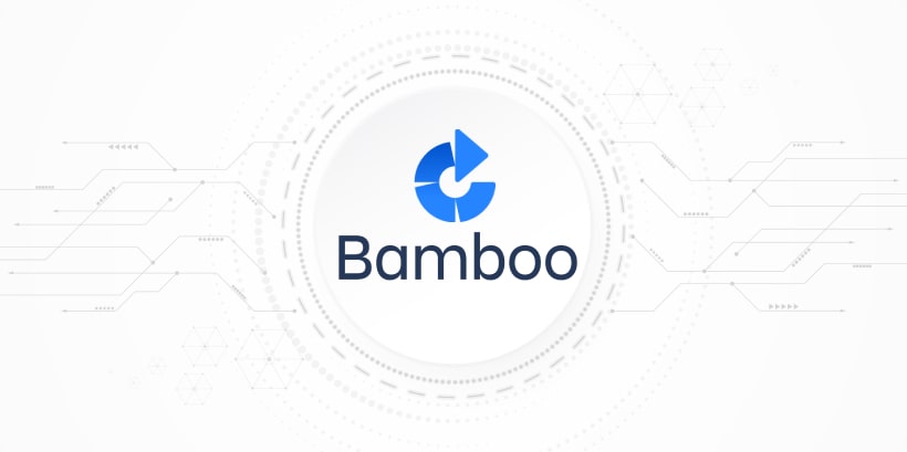 Bamboo